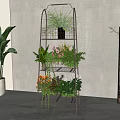 Multi tiered Metal Plant Stand With Various Green Plants And Indoor Decor