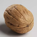 Modern Walnut 3d model
