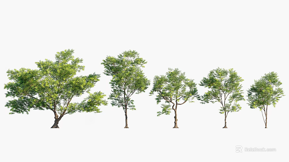 Various Arbor Trees With Lush Green Foliage And Brown Trunks 3d model 