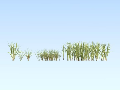 Green Grass With Various Heights And Densities Arranged In A Row On Light Blue Background 3d model