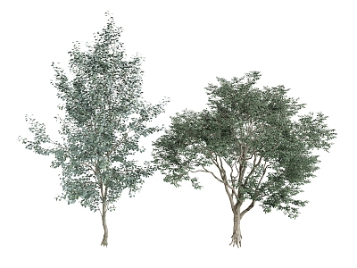 Other Plants Trees Greening 3d model