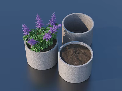 Elegant Bonsai Potted Plant With Purple Flowers Green Leaves And Empty Gray Pots With Soil 3d model