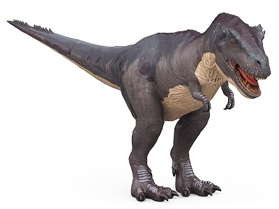 Realistic Tyrannosaurus Rex Dinosaur Standing With Open Mouth And Sharp Teeth 3d model