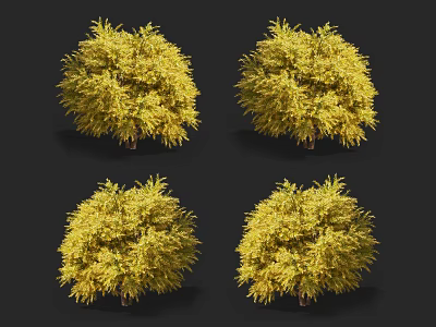 Golden Yellow Shrub With Lush Foliage Perfect For Garden Landscaping Adding Color Outdoor Areas 3d model