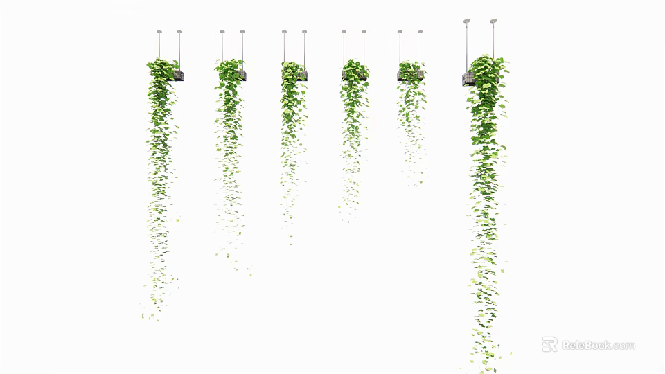 Multiple Hanging Basket Plants With Trailing Green Vines For Interior Decor 3d model 