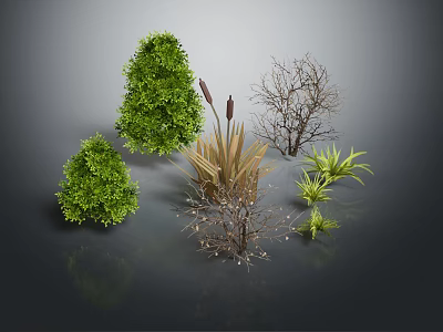 Cartoon Scene Featuring Various Plants Including Green Shrubs Dry Branches And Grass 3d model