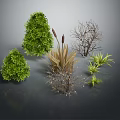 Cartoon Scene Featuring Various Plants Including Green Shrubs Dry Branches And Grass