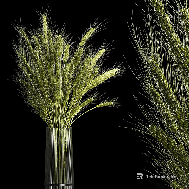Decorative Green Wheat Stems In Ribbed Glass Vase On Black Background 3d model 