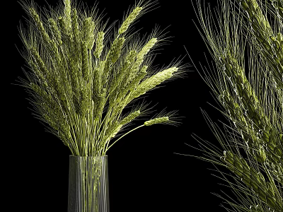 Decorative Green Wheat Stems In Ribbed Glass Vase On Black Background 3d model