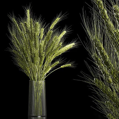 Decorative Green Wheat Stems In Ribbed Glass Vase On Black Background 3d model