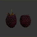 Fresh Dark Purple Raspberries With Green Leaves And Yellow Thorns On Dark Background