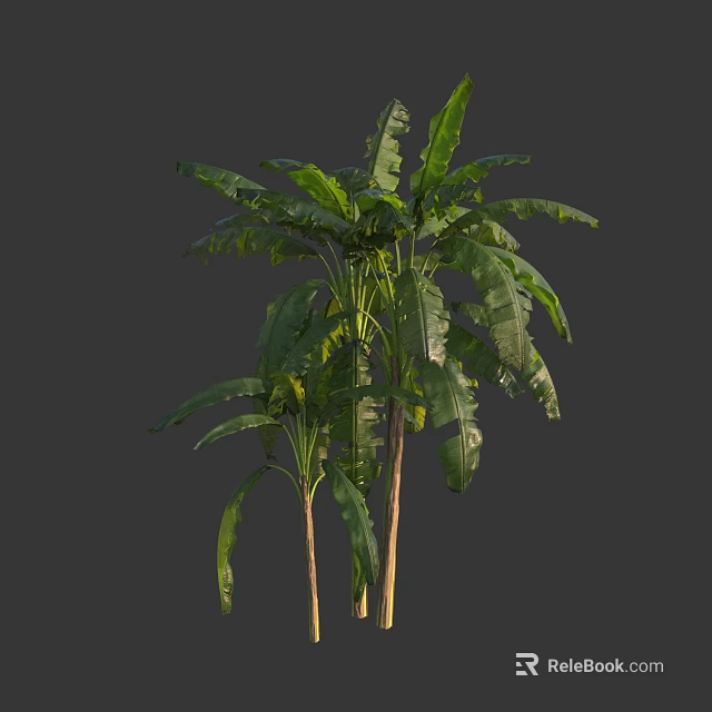 Tall Green Arbor With Lush Foliage And Vibrant Leaves In Outdoor Space 3d model 
