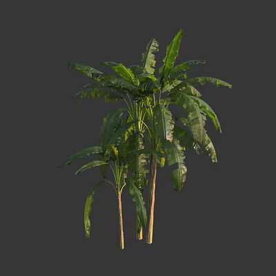 Tall Green Arbor With Lush Foliage And Vibrant Leaves In Outdoor Space 3d model