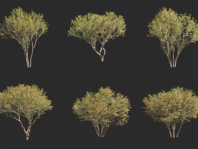 Different Tree Varieties With Green Leaves And Red Accents For Landscape Design 3d model