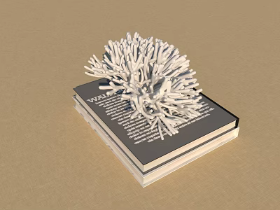 Elegant Decorative Ornament Set With White Coral Like Sculpture And Stacked Books 3d model
