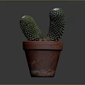 Green Spiky Cactus Plant in Red Terracotta Pot with Two Branches on Dark Background