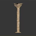 Palm Tree 3d model