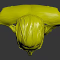 Human Head Anatomical 3D Model Showing Facial Organs Hair And Muscle Layers