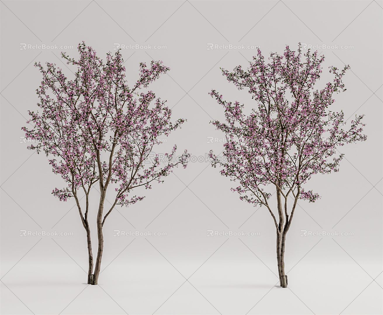 Modern Peach Tree Peach Blossom Peach Tree 3d model