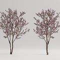 Modern Peach Tree Peach Blossom Peach Tree 3d model