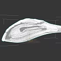 Purple And Gray Ergonomic Gaming Mouse With Sleek Design And LED Lights