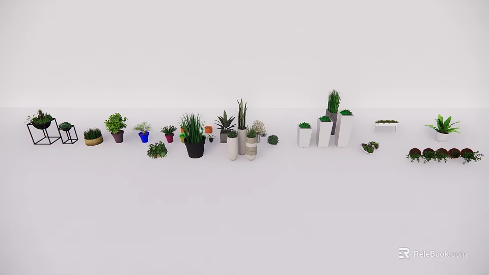 Various Bonsai and Potted Plants in Different Style Containers for Home Decor 3d model 