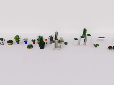 Various Bonsai and Potted Plants in Different Style Containers for Home Decor 3d model