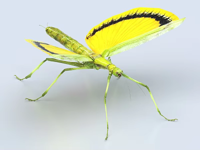 Praying Mantis Flying Insect With Green Body Yellow Wings And Black Stripes Spreading Wings 3d model