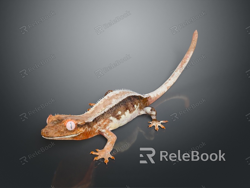 Lizard Anime Lizard Cartoon Lizard Reptile Cold Blooded Animal Reptile Reptile model