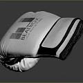 White And Black BRAVOX Boxing Gloves With Striped Design On Gray Reflective Surface