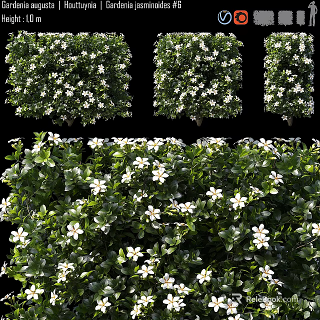 Decorative Ornament Set Featuring Green Plants and White Flowers for Home Decor 3d model 