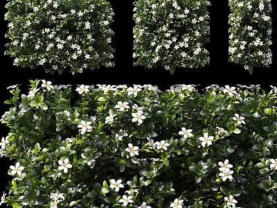 Decorative Ornament Set Featuring Green Plants and White Flowers for Home Decor 3d model