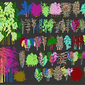 Various Types of Bamboo Plants With Tall Clumping and Short Slender Foliage