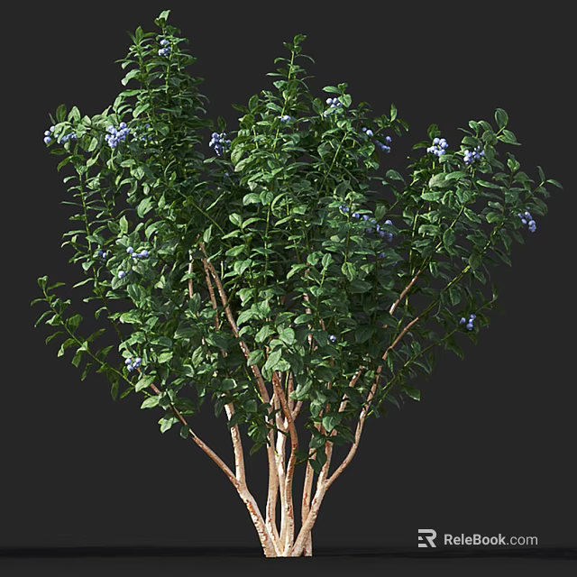 Lush Tree with Green Leaves Blue Flowers and Brown Trunk in Garden 3d model 