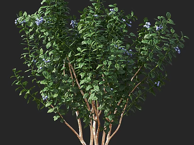 Lush Tree with Green Leaves Blue Flowers and Brown Trunk in Garden 3d model