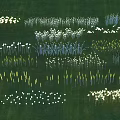 Swing Door With Various Illuminated Installations Arranged On Green Lawn