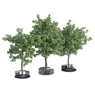 Modern Tree Pond 3d model