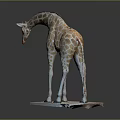 Detailed Standing Giraffe Sculpture With Brown White Patterned Coat On Square Base 3d model