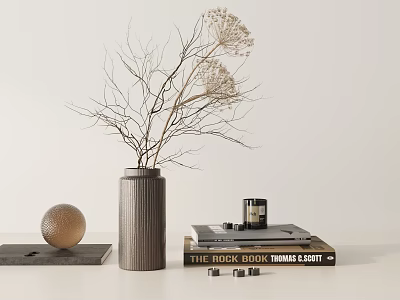 Minimalist Modern Decorative Ornaments Set With Vase Dried Branches Spherical Ornament And Books 3d model