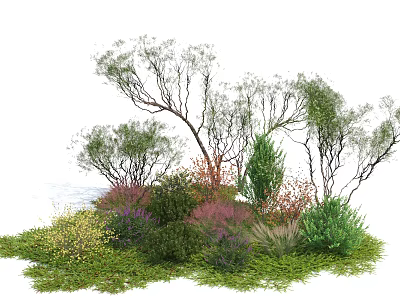 Colorful Shrubs In Natural Landscape With Various Foliage And Lush Greenery 3d model