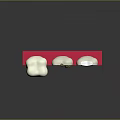 Animated Game Character Dental Anatomy Display With Healthy Decayed And Treated Teeth