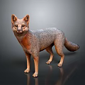 Gray and Orange Fox 3D Rendering Standing with Realistic Fur Texture on Dark Background 3d model