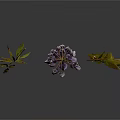 Wisteria Branches Featuring Purple Flower Clusters Green And Yellow Leaves On Dark Background