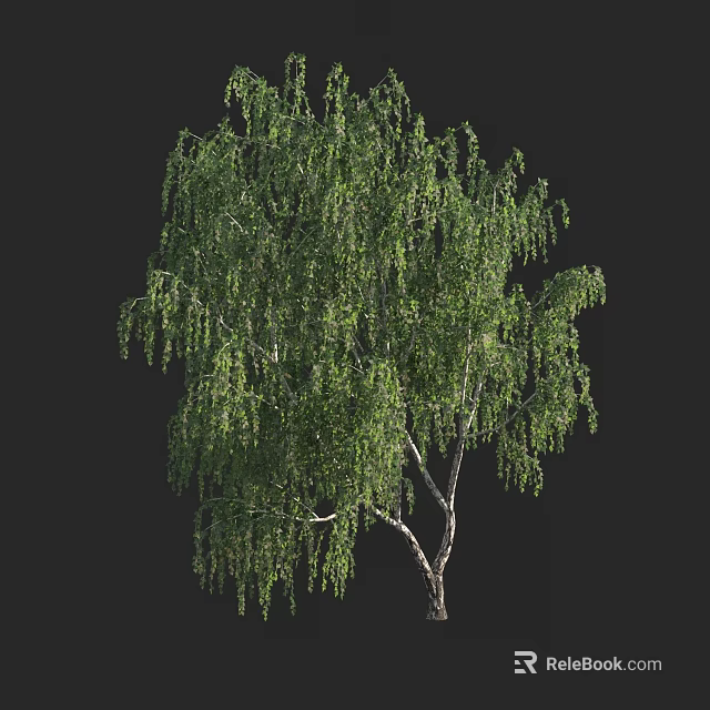 Lush Weeping Willow Arbor With Green Drooping Branches White Trunk Against Black Background 3d model 