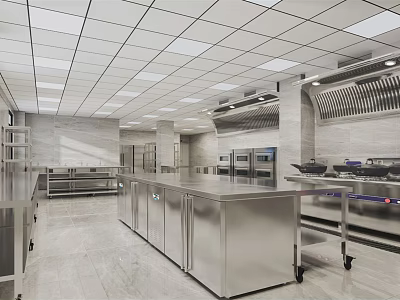 Commercial Kitchen Interior Design With Stainless Steel Worktables Cabinets Ovens And Vent Hood 3d model