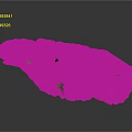 Detailed 3D Terrain Model With Green Vegetation And Rocky Areas On Gray Background