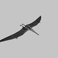 Prehistoric Pterosaur with Elongated Beak Prominent Cranial Crest and Detailed 3D Rendering