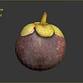Fresh Ripe Exotic Mangosteen Fruit With Purple Skin And Yellow Leaves