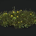 flowers and grass bushes combined plants 3d model