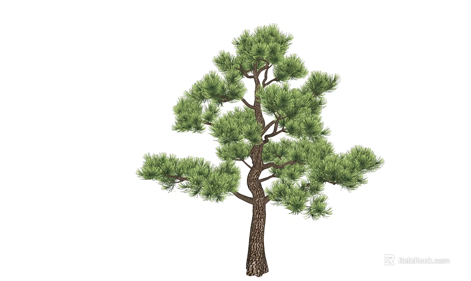 Tall Straight Pine Tree With Lush Green Needles And Brown Trunk 3d model 